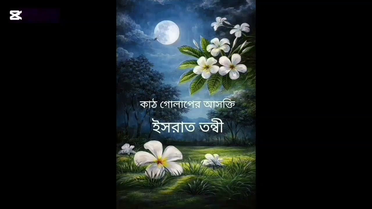 কাঠ গোলাপের আসক্তি/শেষ পর্ব/লেখনীতে-ইসরাত তন্বী 