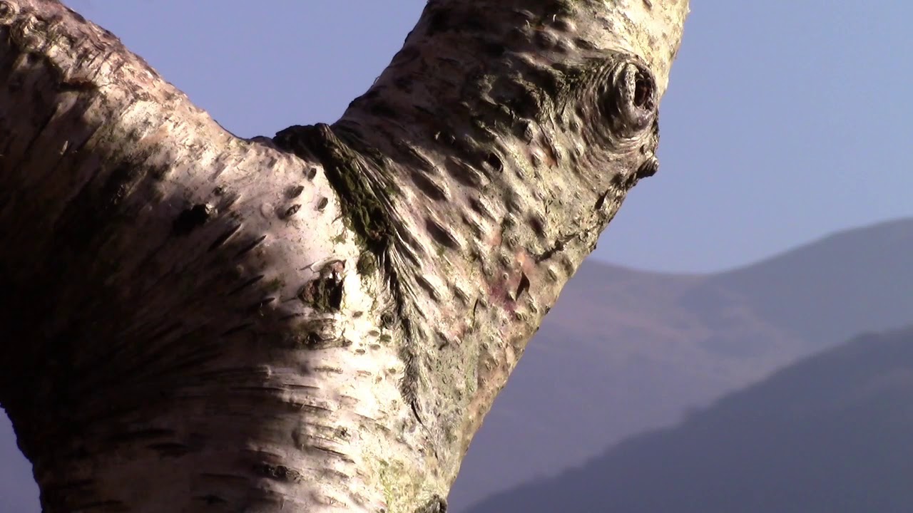 Ennerdale Loving Nature