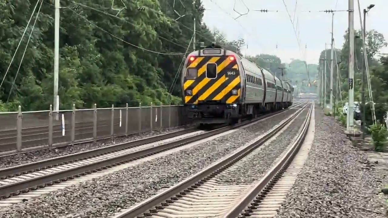 Short Rush Hour Action At Wynnewood