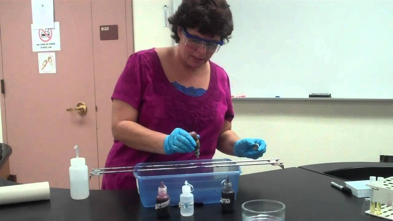 Gram Stain