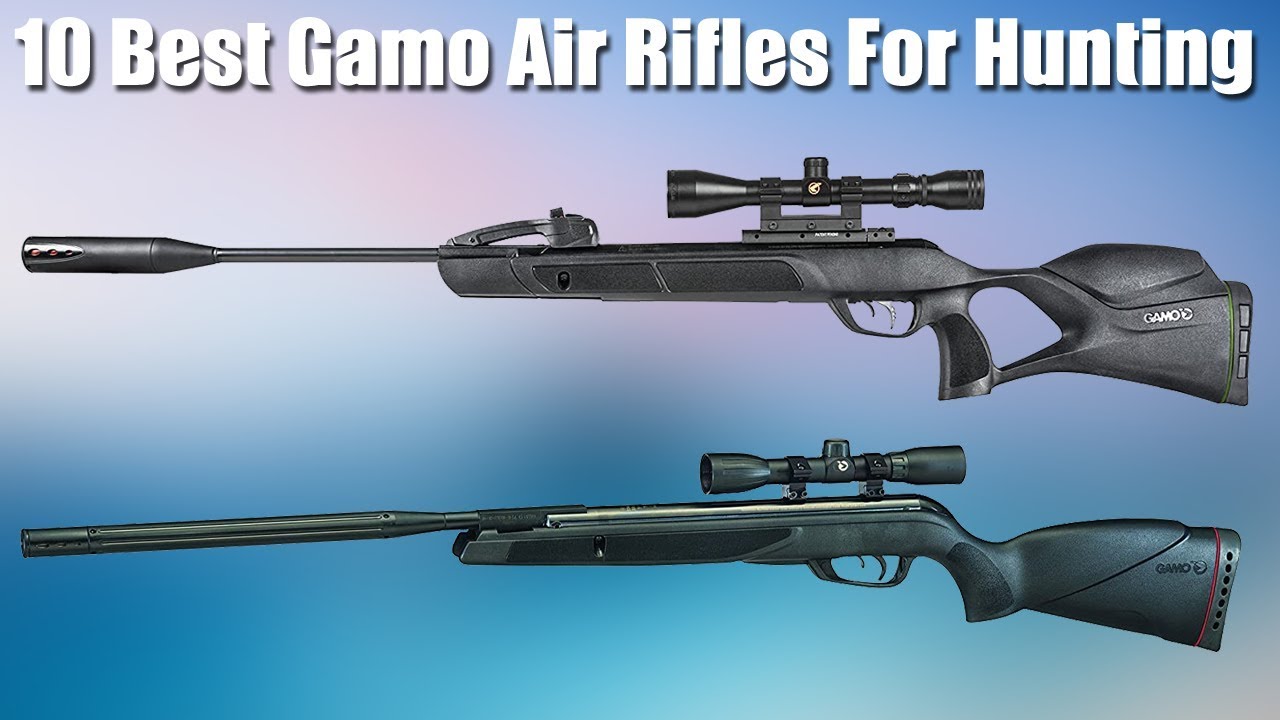 Top 10 Best Gamo Air Rifles For Hunting 2020