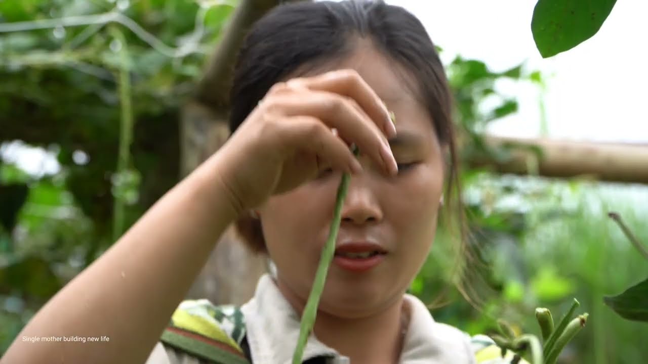 Full video: Harvesting long beans, green vegetables, giant bananas to bring to market to sell