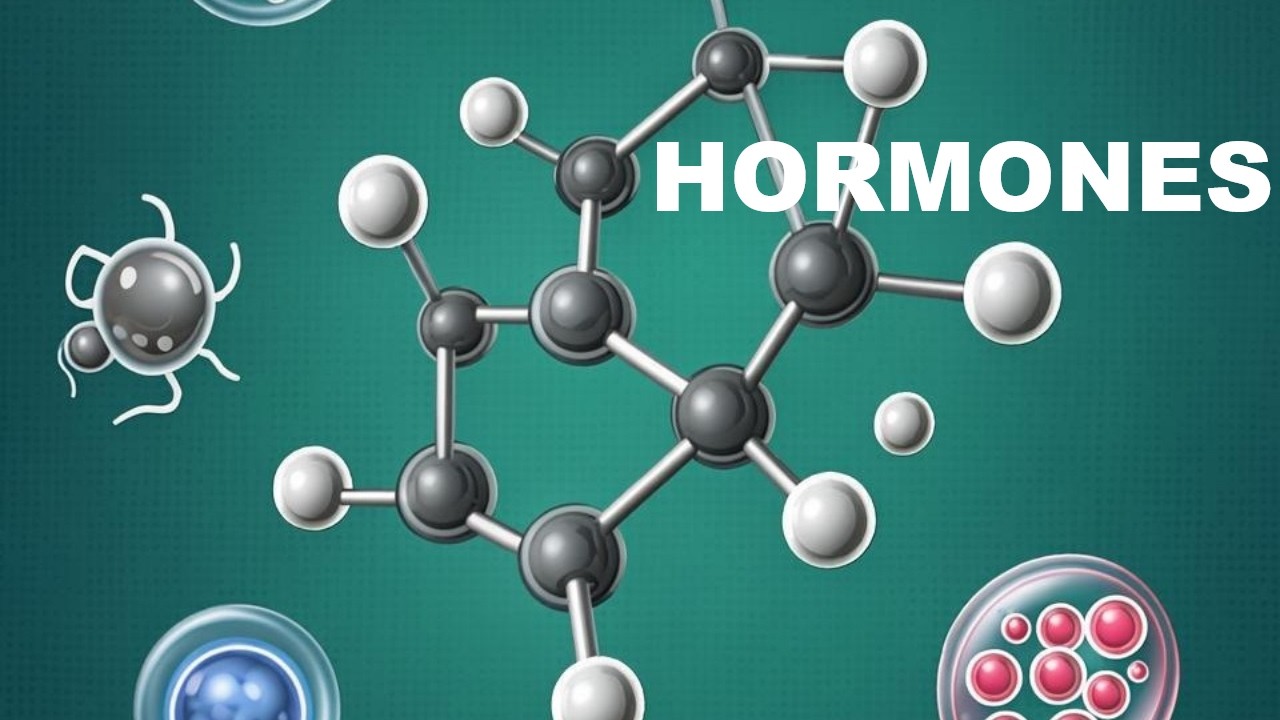 Hormones : structures, mécanismes et régulations