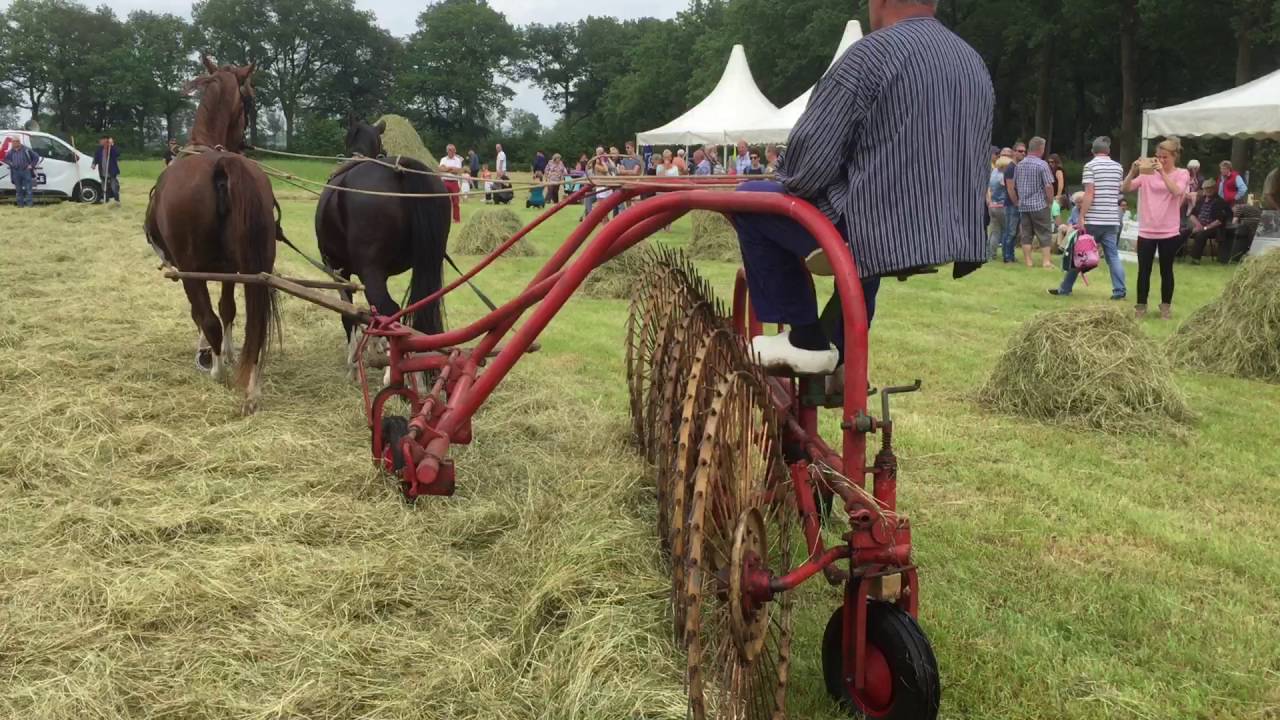 Hooi harken en sprinkussen