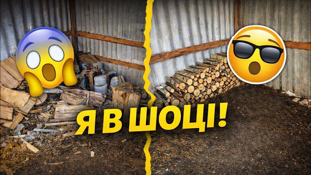 Навів порядок у дровнику… і ПОШКОДУВАВ 😳