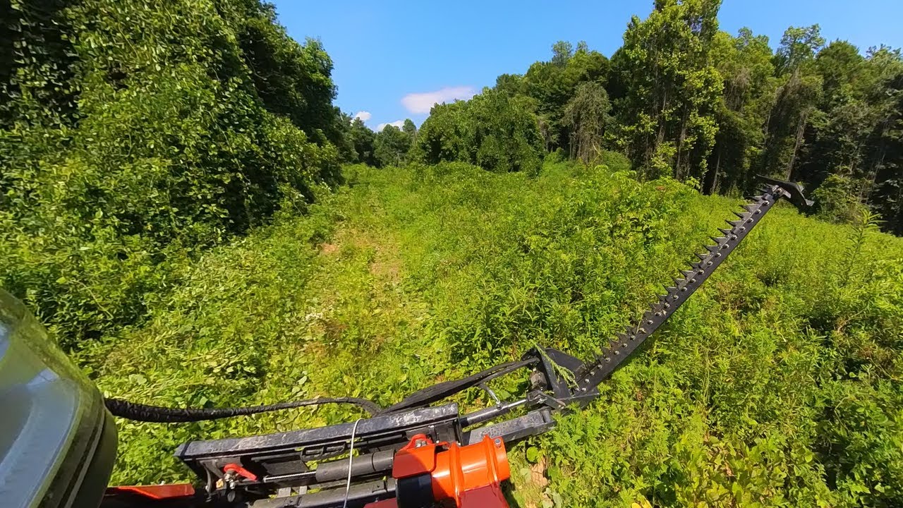 Skid Steer Sickle Bar - Trimming Kudzu Overgrown Trail