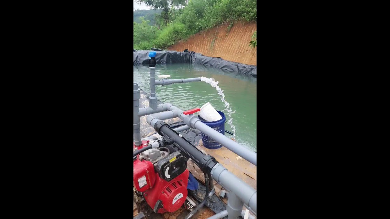 Phát trực tiếp của Nông Thôn 4.0