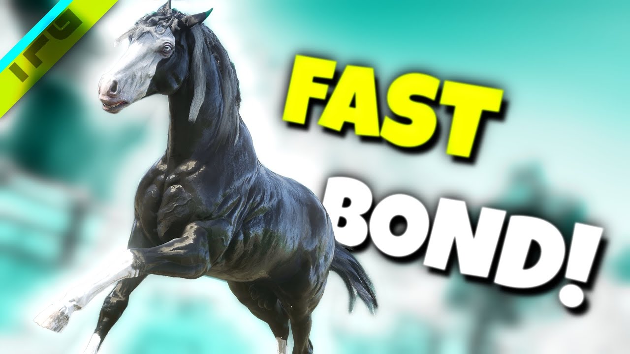 Essential Trinket for Quickly Bonding With Your Horse   |   RDR2