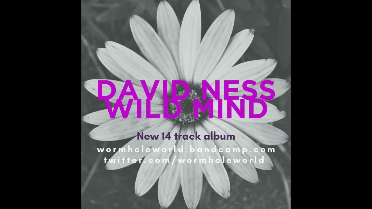 David Ness - Wild Mind album teaser