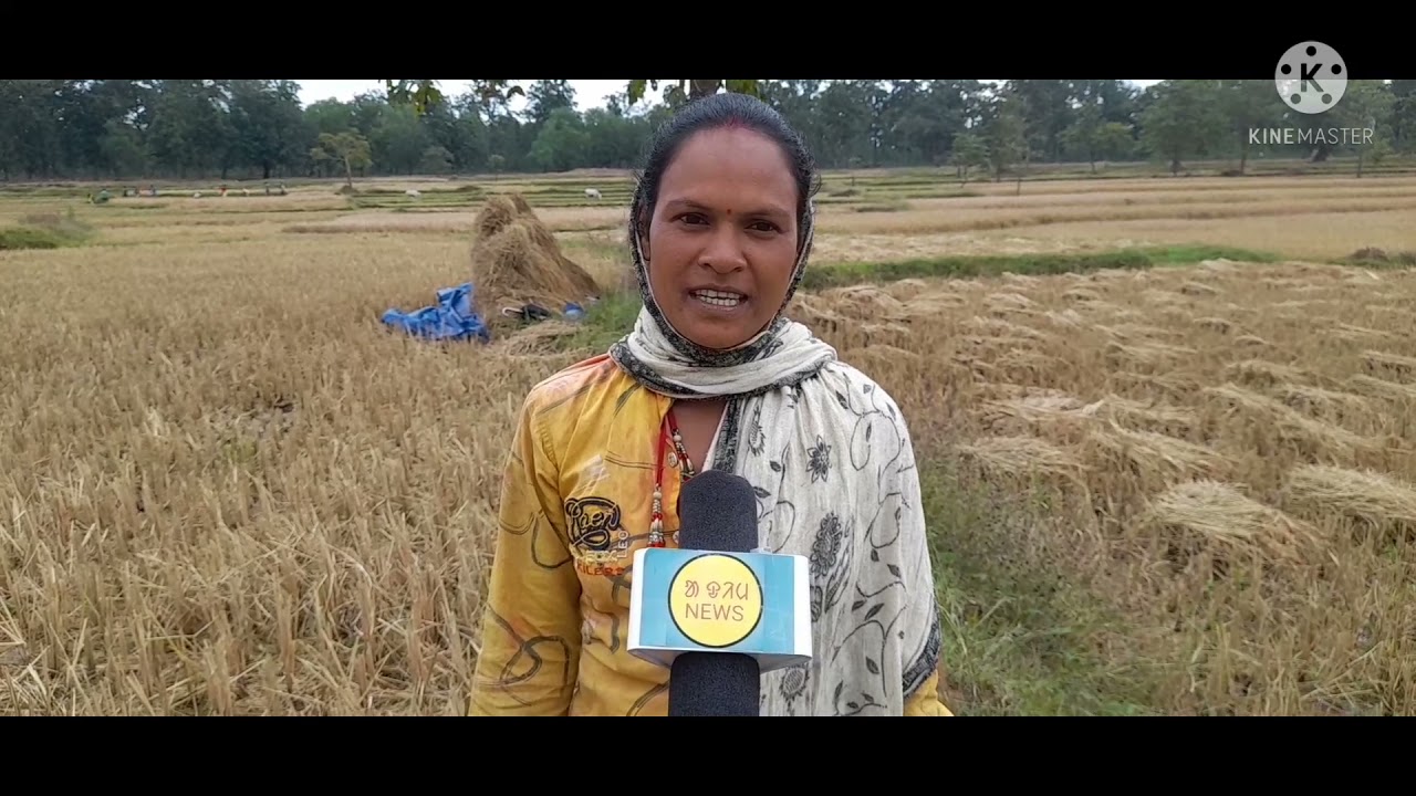 jawad Batya te Mayurbhanj Rin Chasi Jolokhalo/Santali NEWS/AADIM NEWS/Basanta Soren