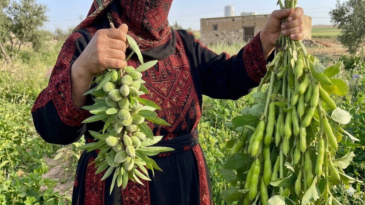 موسم الخير في الأردن 🇯🇴 خيرات ارض بلادي من ست نشمية😎موسم الحصاد