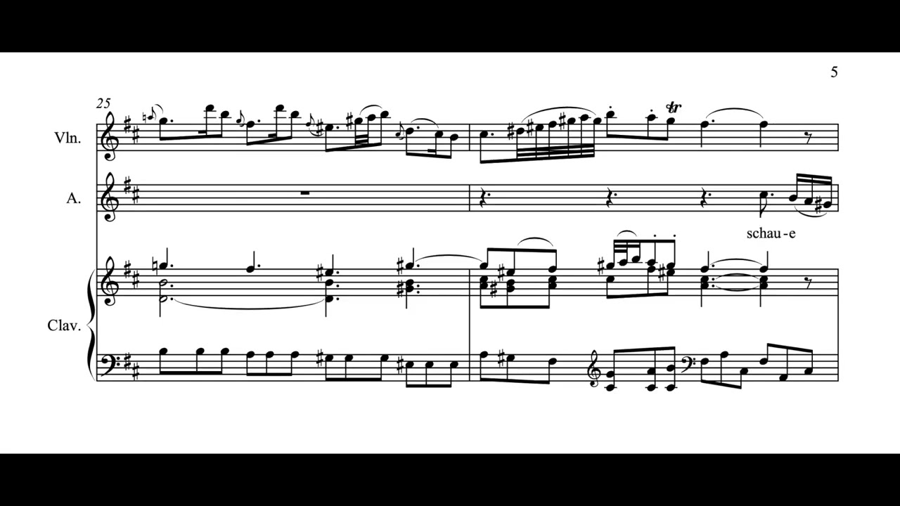 Bach - Erbarme dich (piano accompaniment)