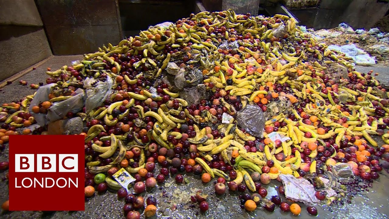London’s rubbish problem: Food waste – BBC London News