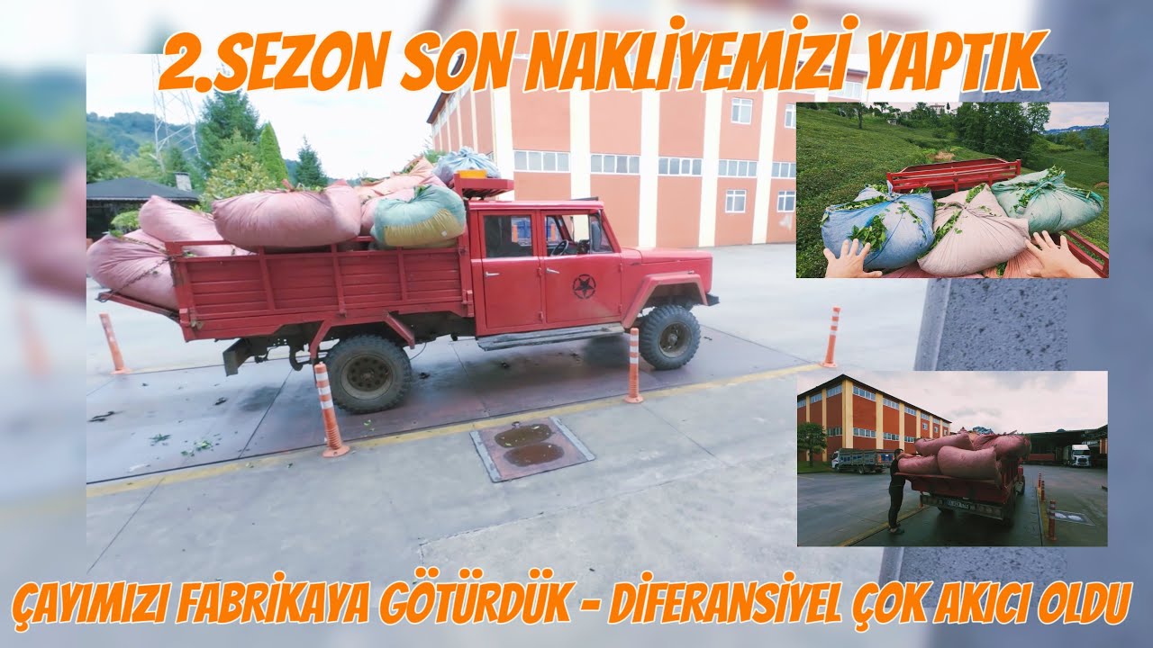 2.SEZON ÇAYIMIZ BİTTİ - SON NAKLİYEMİZ