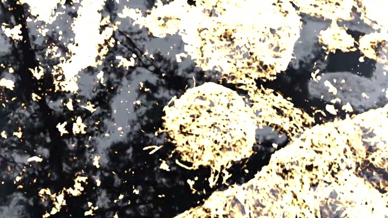 Naoyasu Takahashi electric bass solo (January 7th, 2026) #1