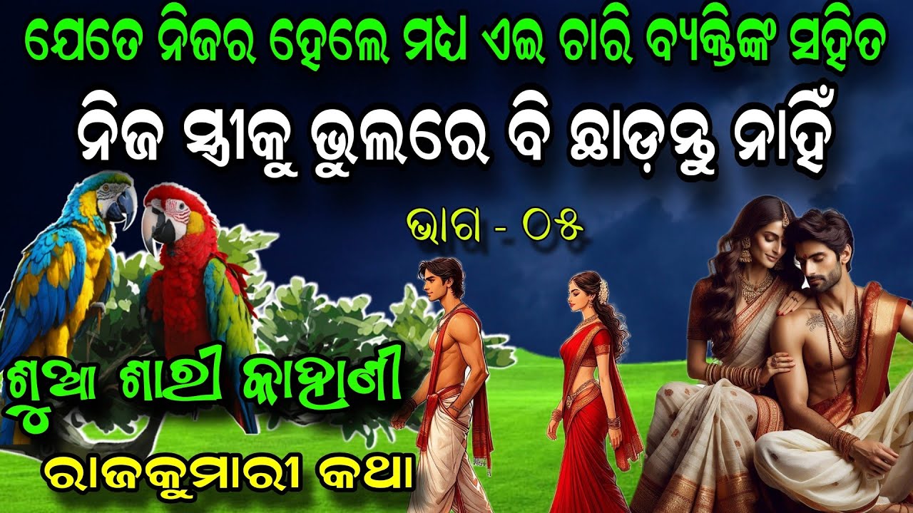 ଶୁଆ ଶାରୀ କାହାଣୀ ~ ୦୫ || Sua Sari Kahani ~ O5 || ଜଣେ ରାଜକୁମାରୀର ଦୁଃଖଭରା କାହାଣୀ ||