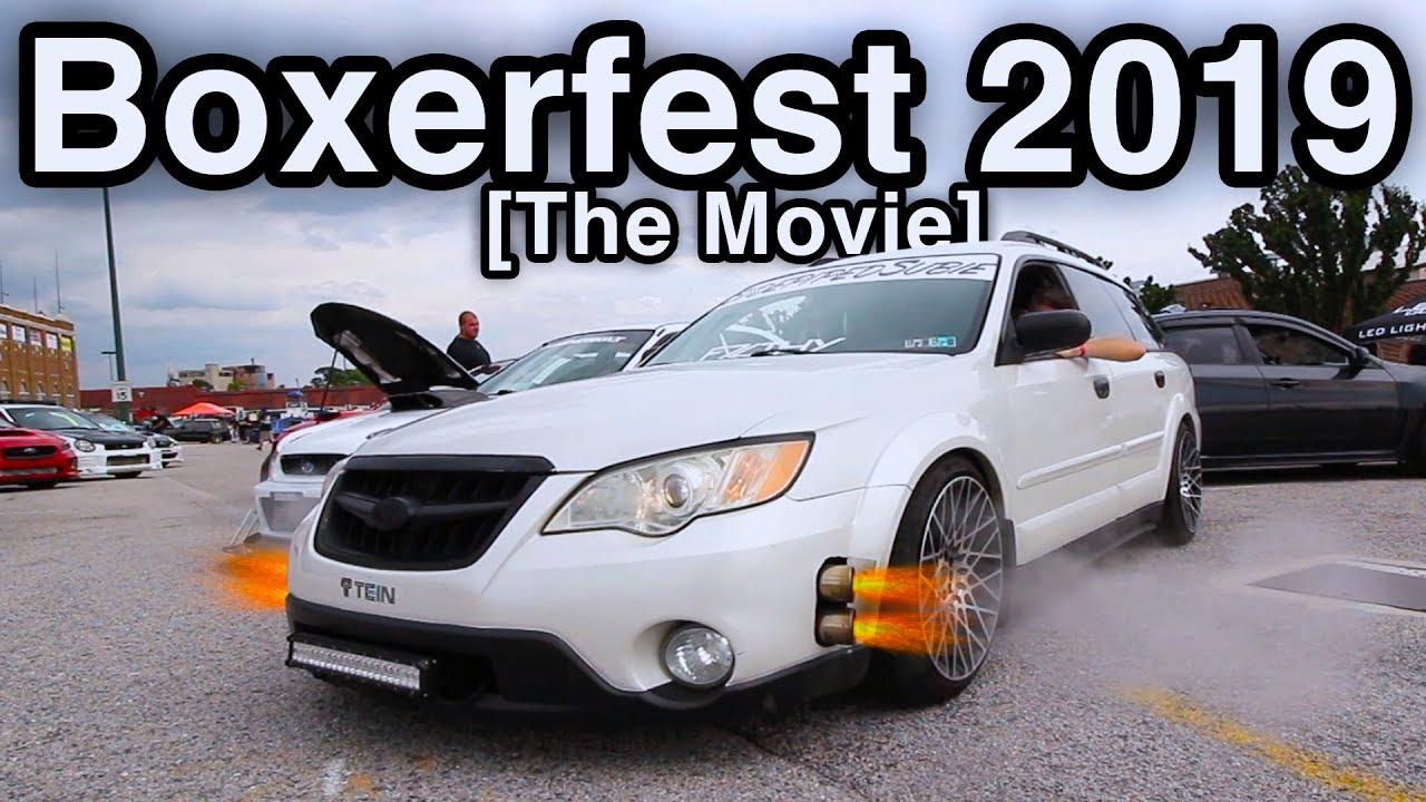 Boxerfest 2019 The Movie