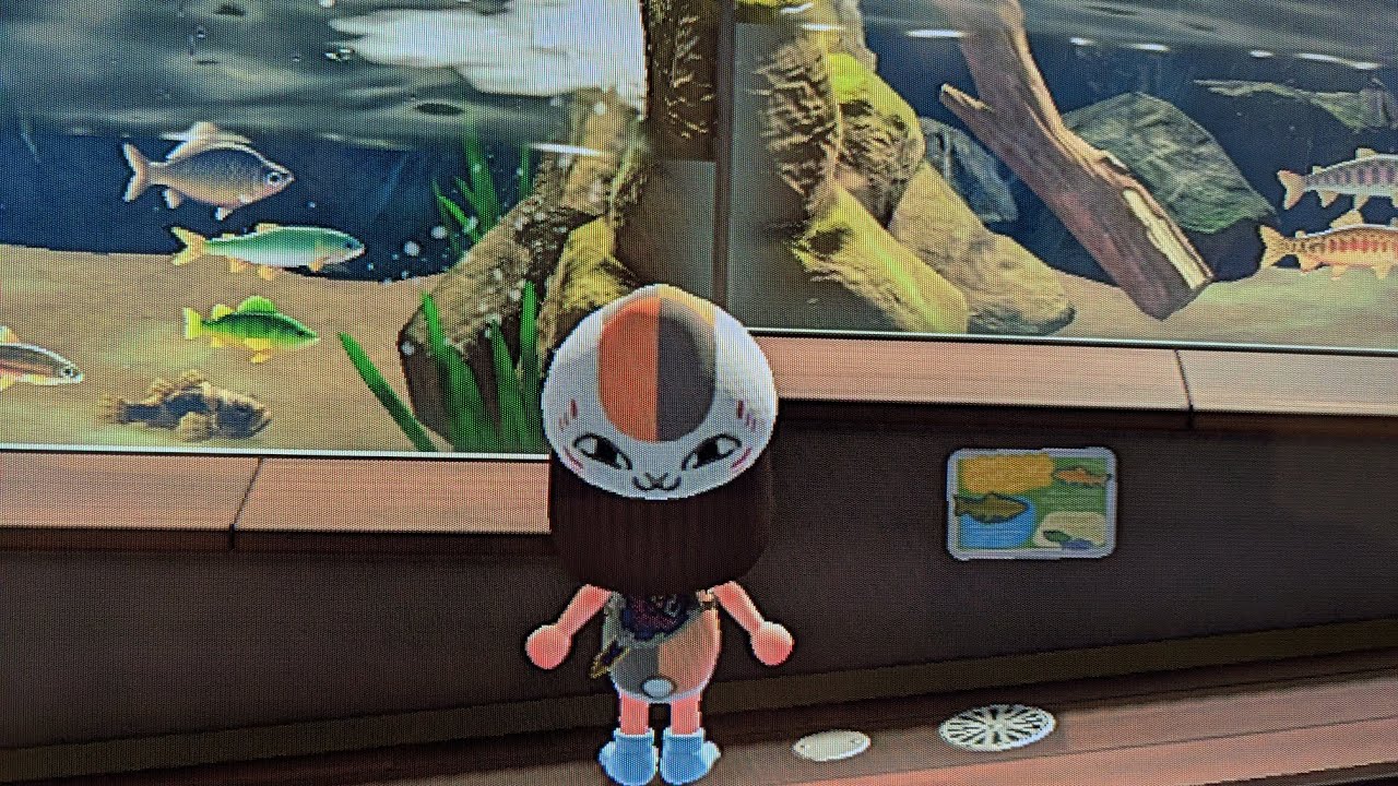 【あつ森】カブ595！チャンネル登録、高評価で参加可能！