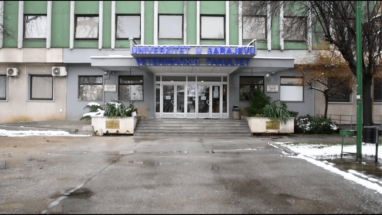 Veterinarski fakultet u Sarajevu: Izolovali koronu, a država njih
