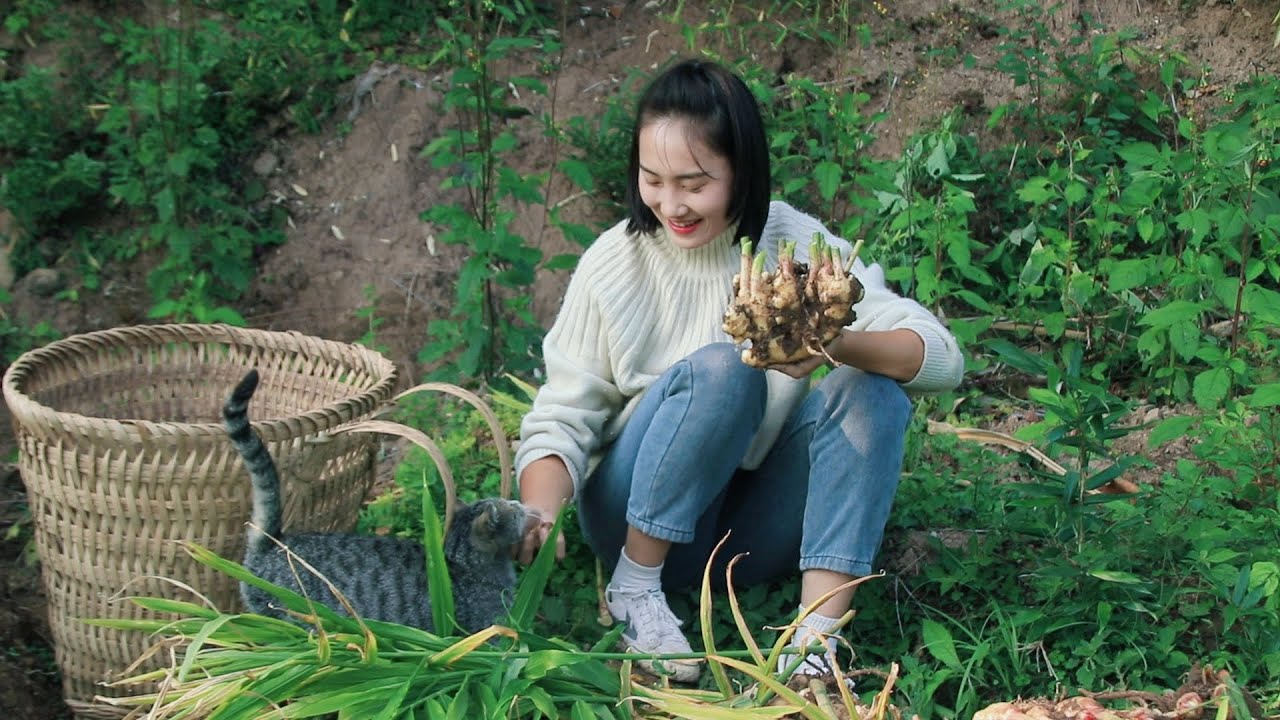 How to Cook Young Ginger🌶️Satisfying Harvest and Super Easy Recipe｜Couple's Pastoral Life in Sichuan