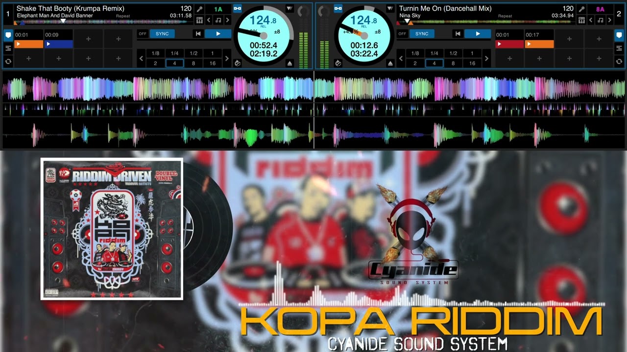 KOPA RIDDIM MIX 2005 #cyanidesoundsystem #dancehall #2000s  #kopariddim #supadups #blackchiney