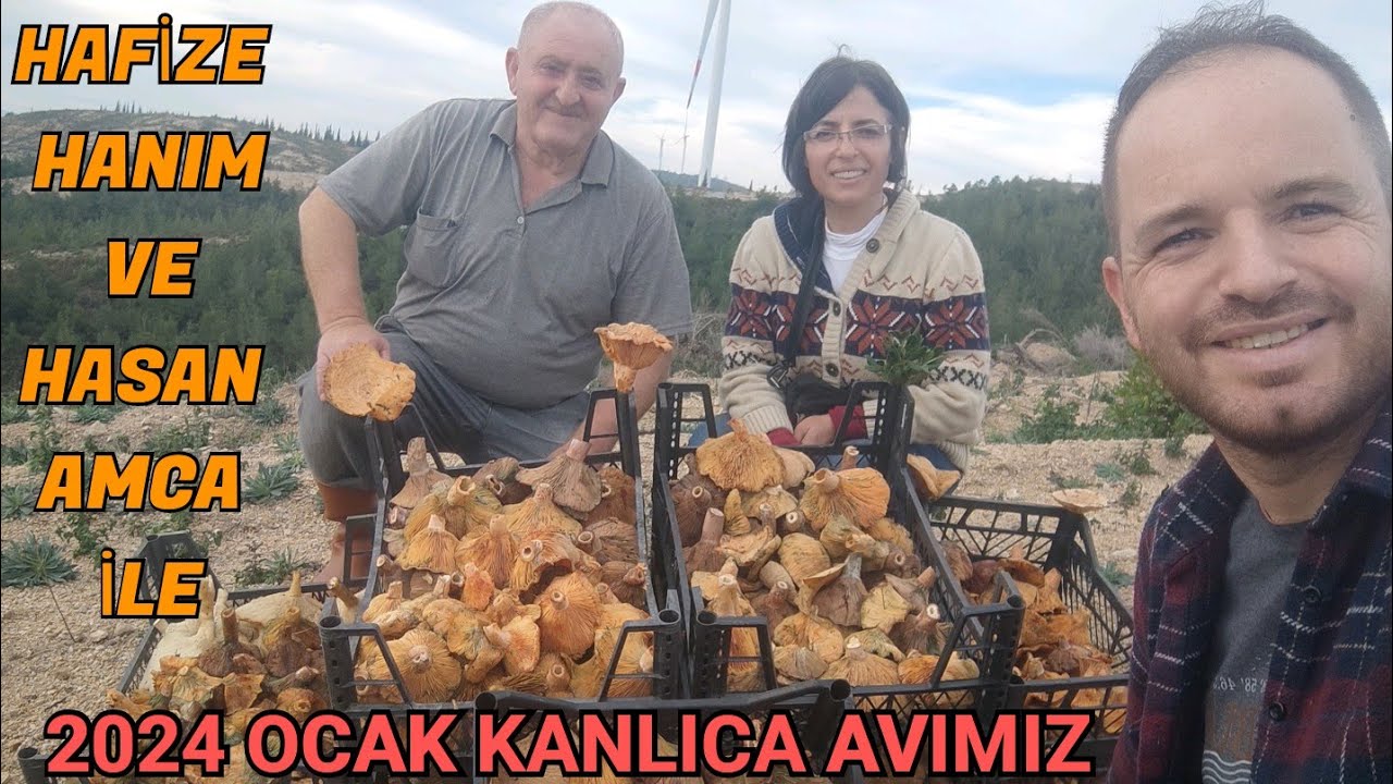 2024 Ocak Ayı Kanlıcaları . İstanbul Misafirlerimiz İle Bol Mantarlı ve Keyifli Avımız Sizlerle.