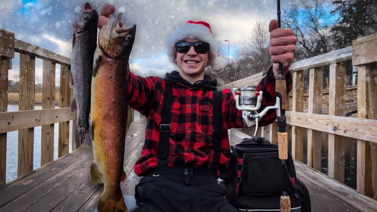 PUBLIC DOCK Trout Catch & Cook | Christmas Sight-Fishing