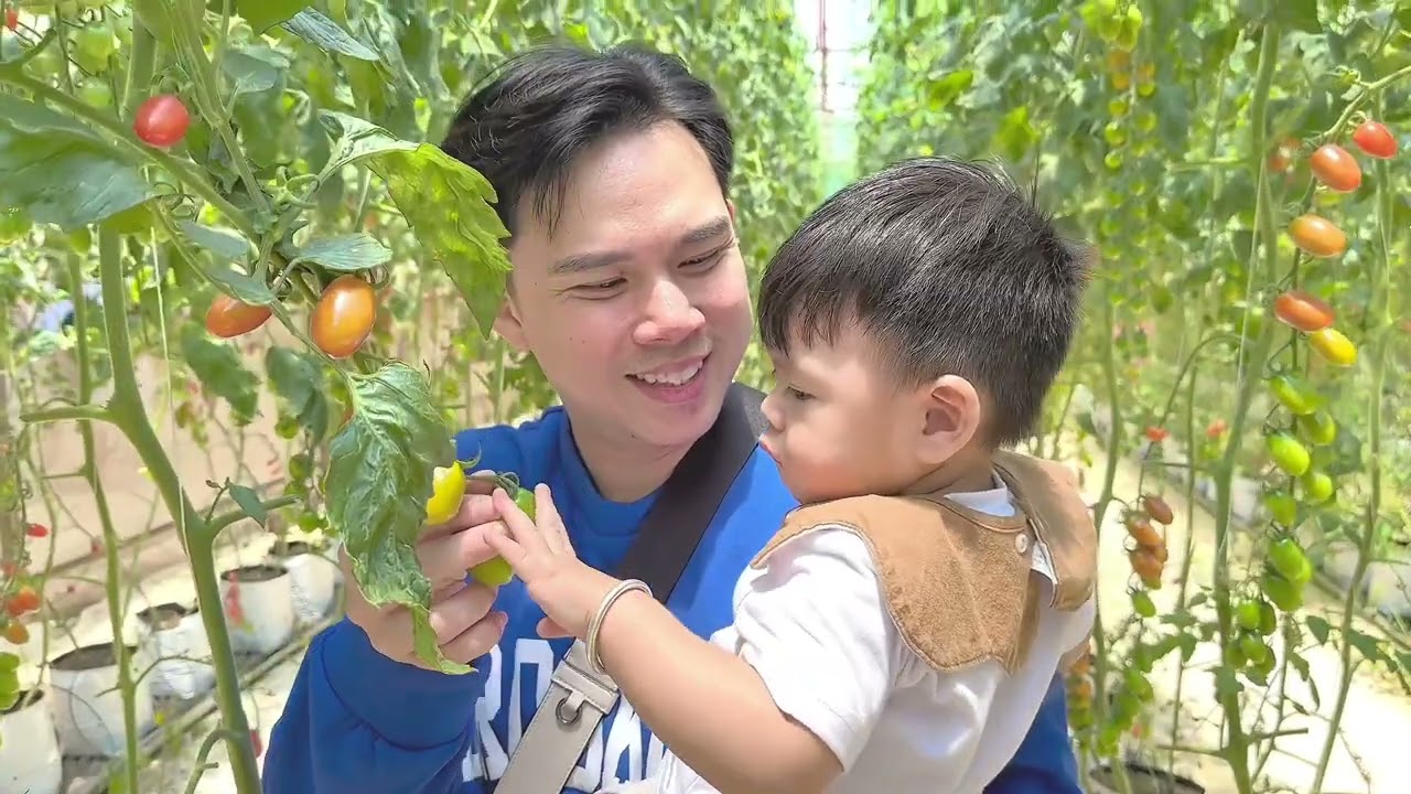 Nắng ngoài sân phiên bản Lion’s Family