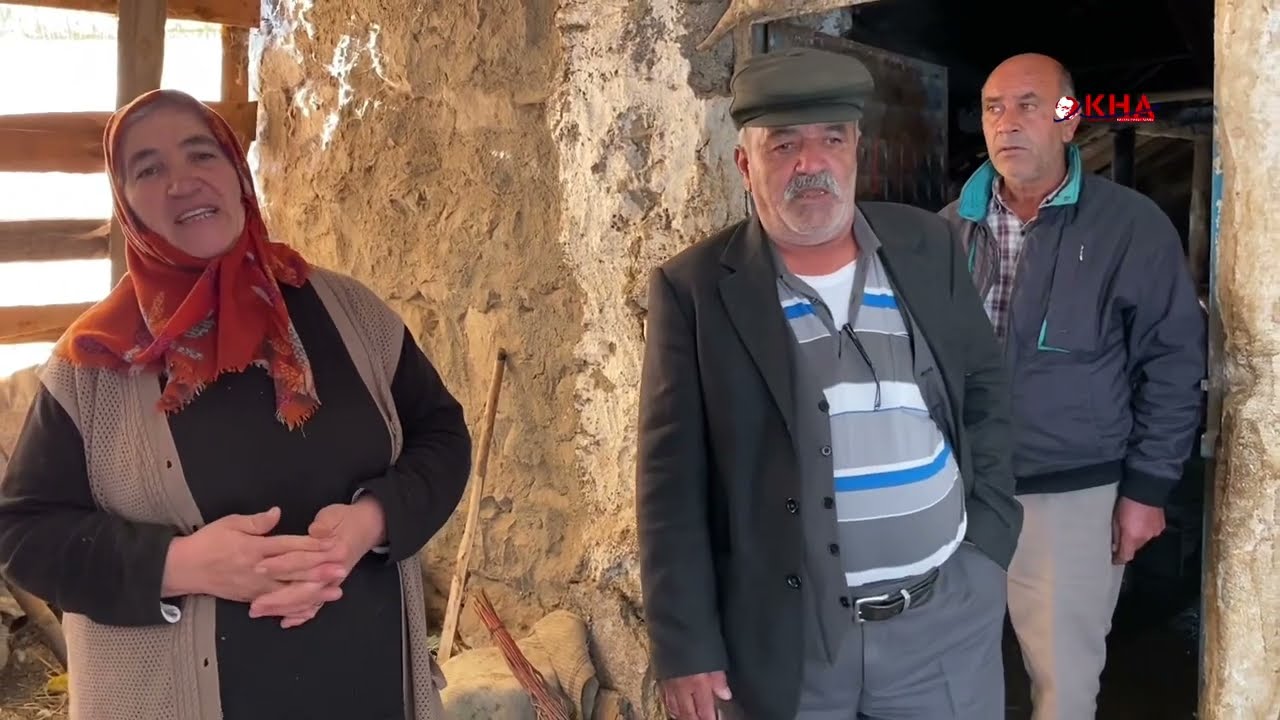 Torunlarının tedavisi için besledikleri inekleri çalınan ailenin çaresizliği