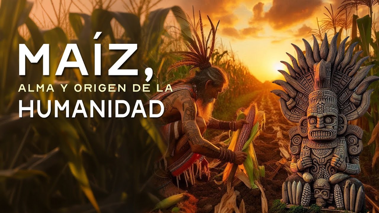 Historia del maíz: Alma y origen de la humanidad