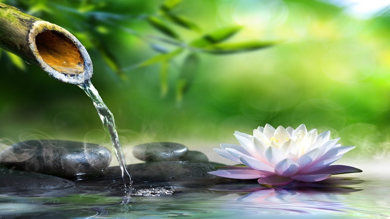 Music For Sleep, Study & Relaxation, Calming Music, Bamboo Beautiful Piano Music - Relaxing