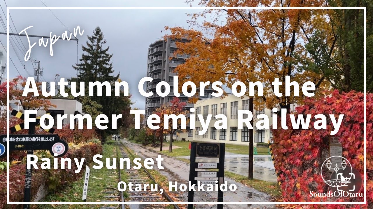 Autumn Colors on the Former Temiya Railway | Rainy Sunset