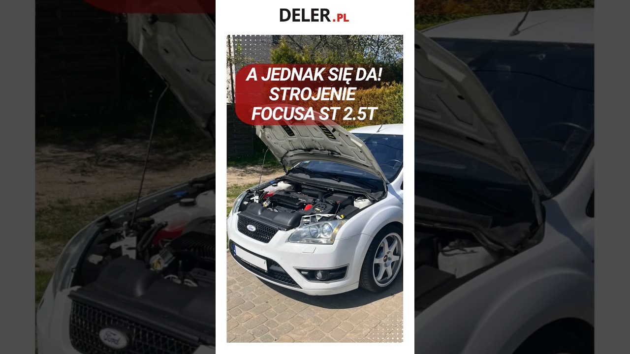 Co teraz można w tym sterowniku zrobić? #teamdeler #sterownik #częścisamochodowe #focus #strojenie