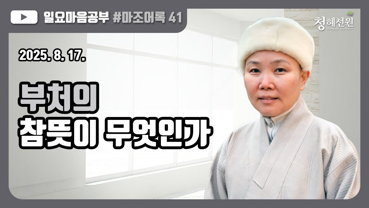 2025.08.17. [청혜선원] 일요공부ㅣ마조어록  제41회  제3부 만남의 인연 3. 부처의 뜻  