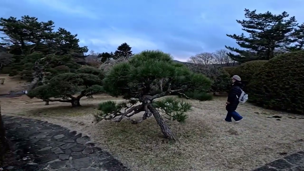 箱根で