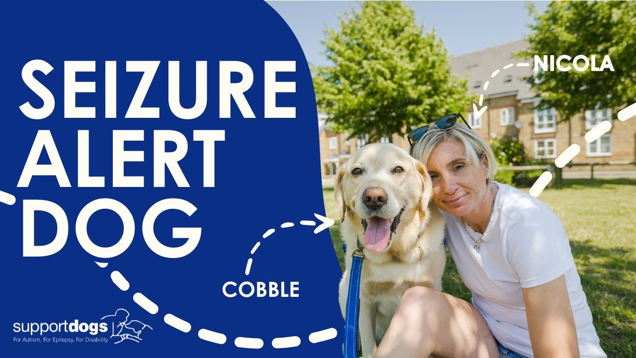 Epilepsy seizure alert | Cobble & Nicola's Story