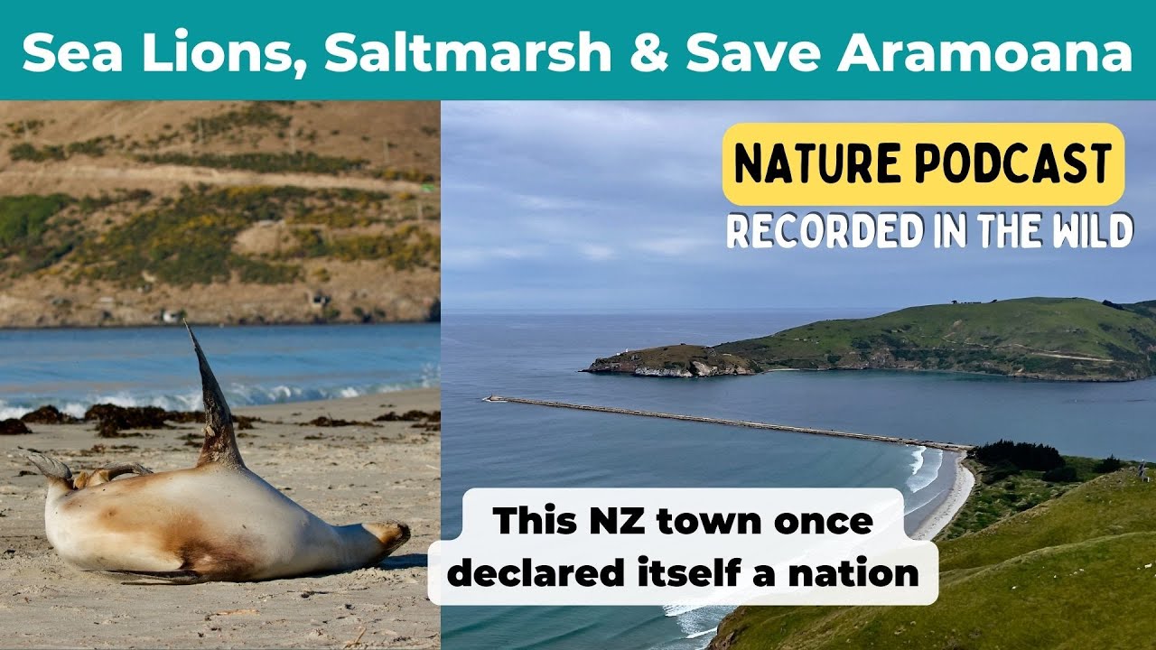 Exploring Nature in a Small Town | Podcast | Tune into Nature | Conservation | Nature Sounds