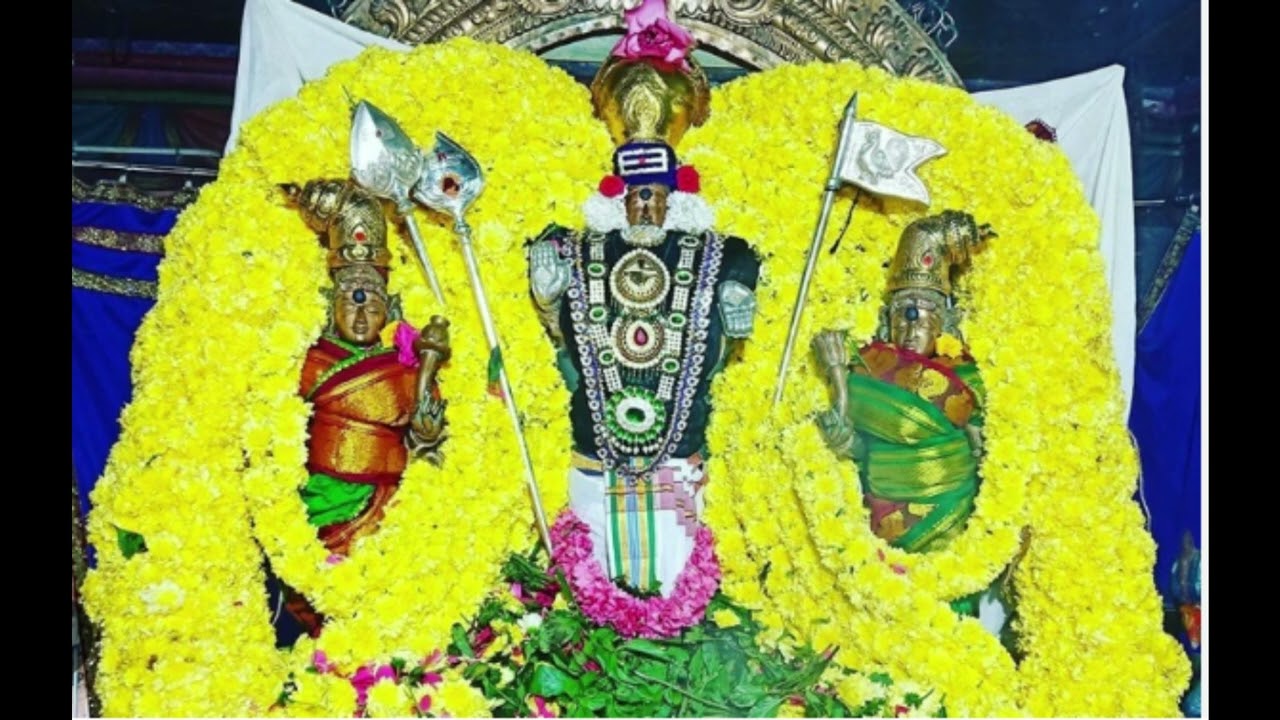 திருப்புகழ் 707 - தோழமை கொண்டு  (கோடைநகர்)