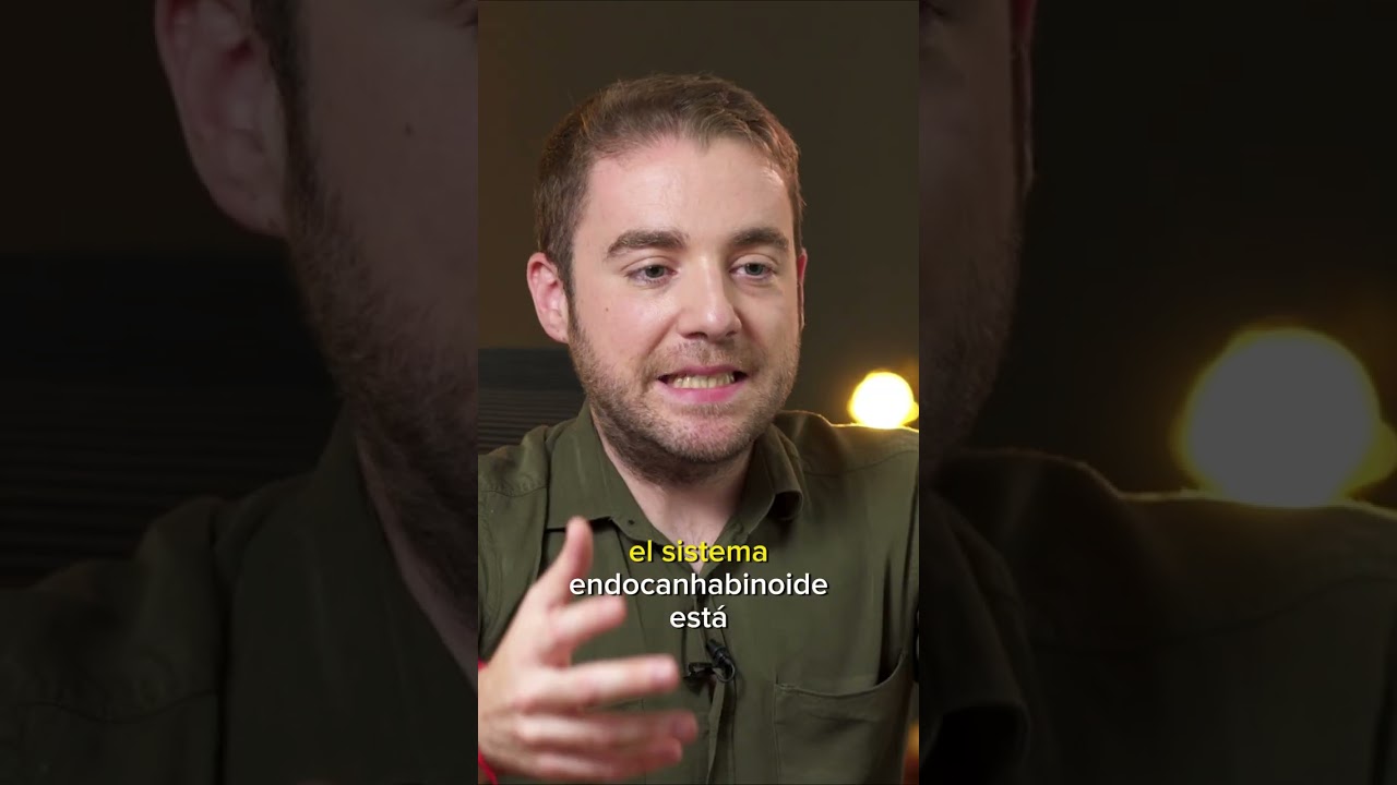 Cannabis, CBD (Cannabidiol) y aceite de THC en Georgia (Parte 6/11) 