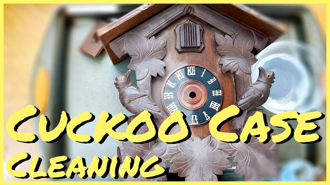 Cuckoo Case Cleaning