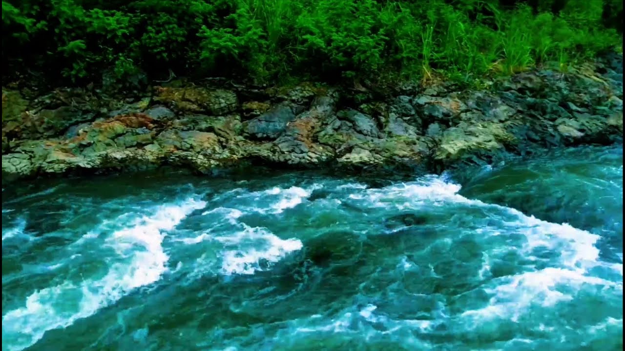 Deep Relaxation with Peaceful River Sounds  Calming Water Flow.