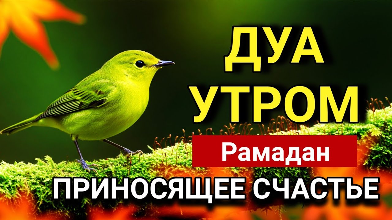 🔑🌅 ДУА УТРОМ В РАМАДАН | Сильная молитва накаждый день 💖