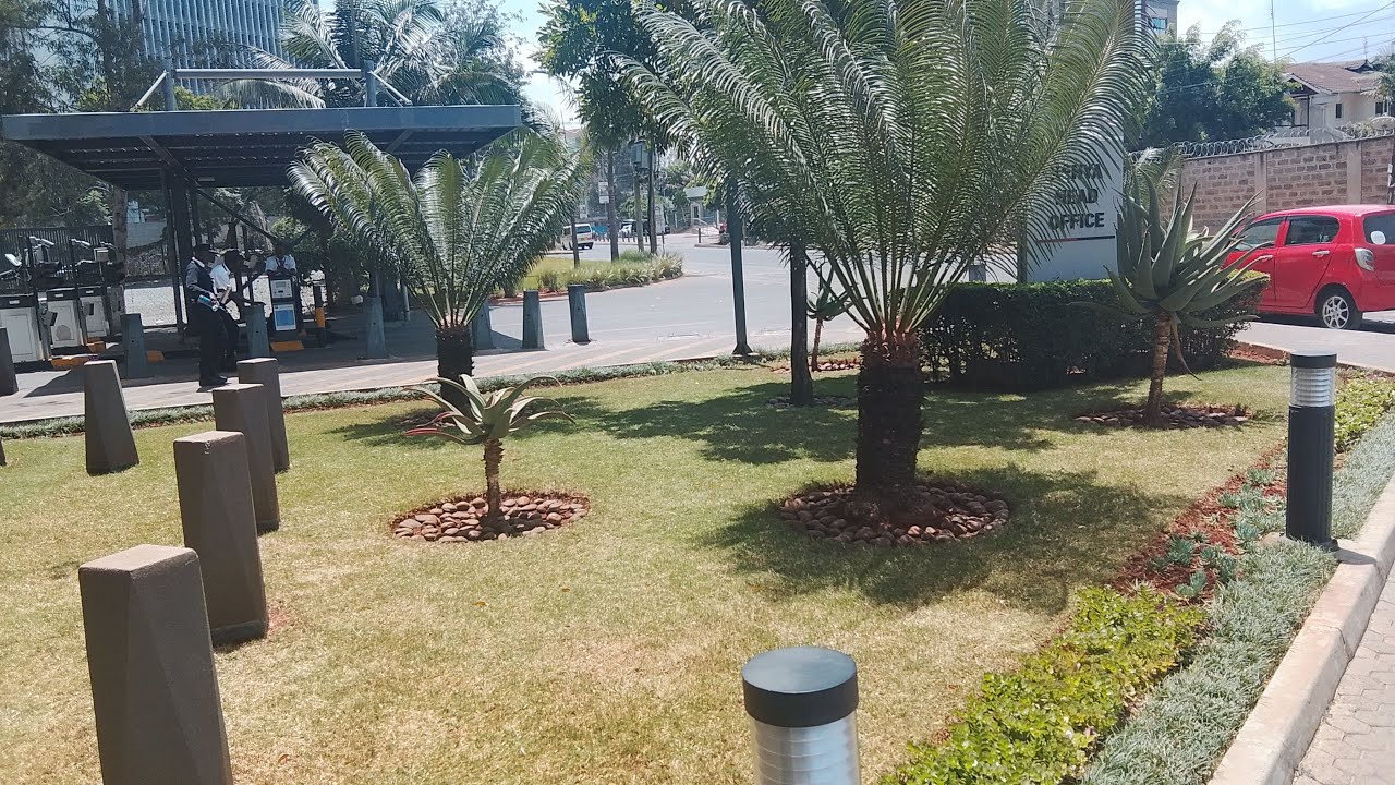 THE BEAUTIFUL SATURDAY