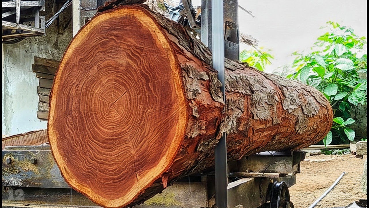 The detailed process of sawing mahogany and teak wood into planks and beams