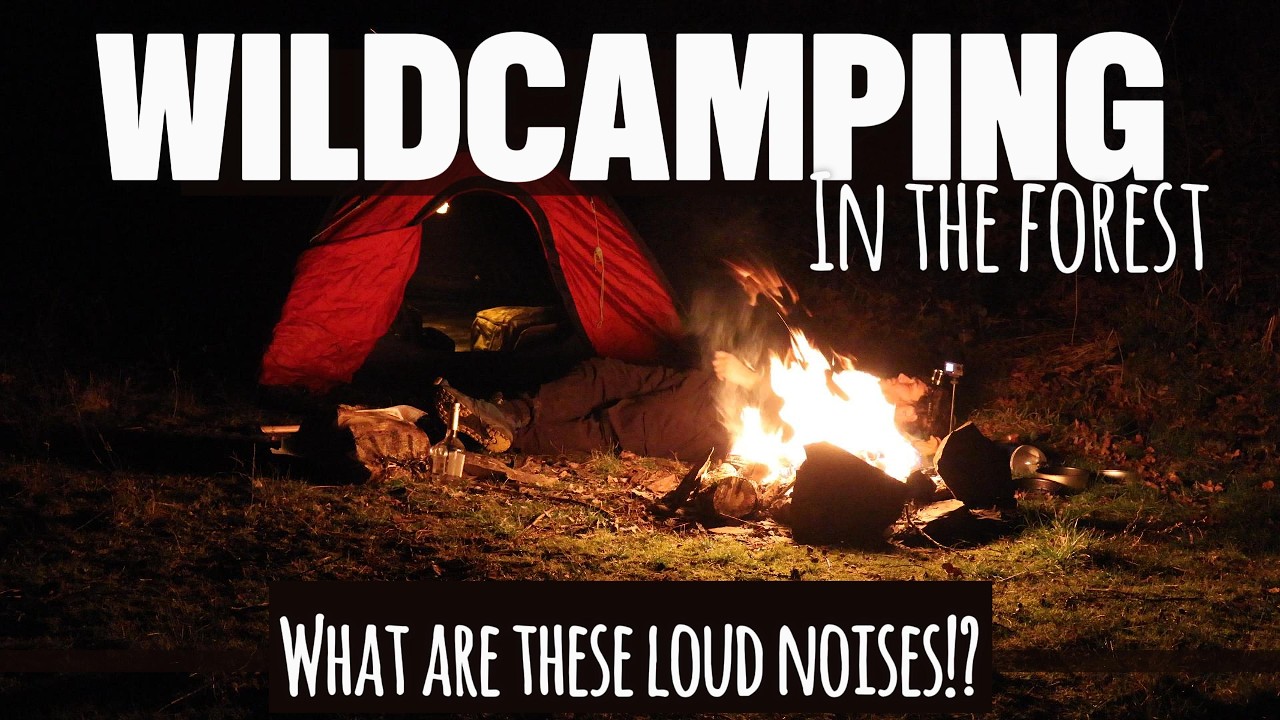 Wild Camping in the Forest - What are Those Loud Noises?!