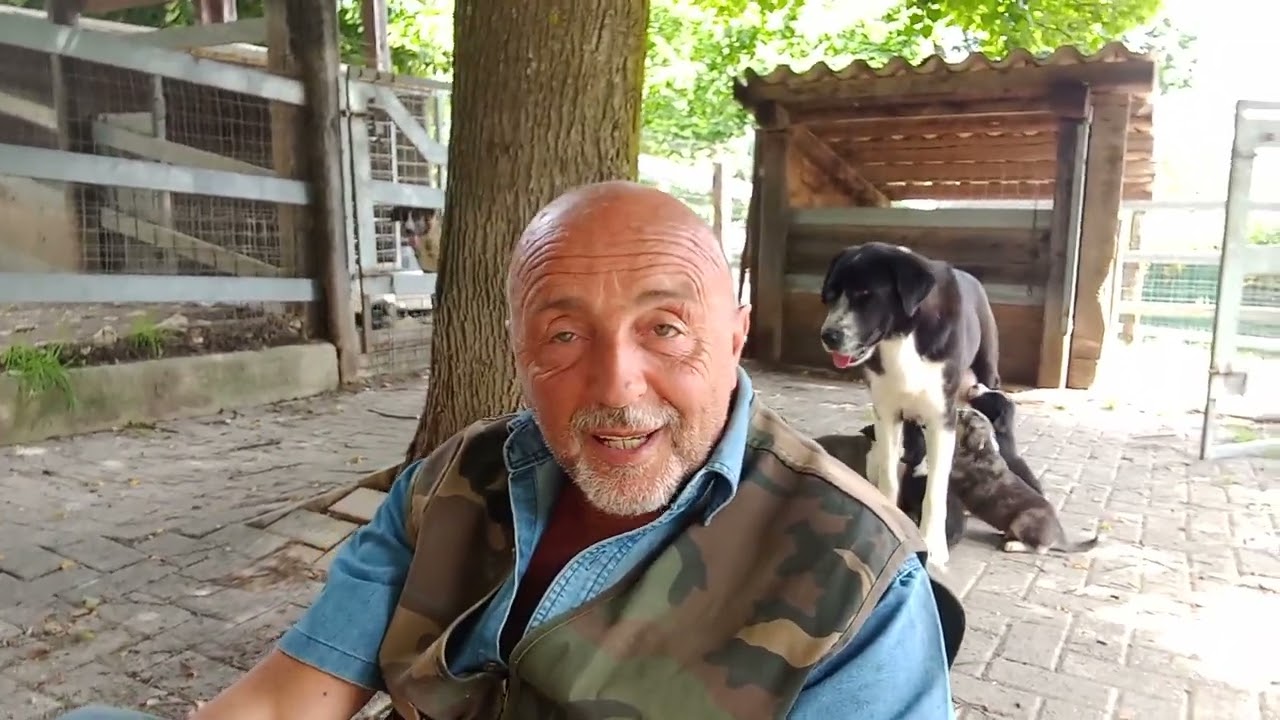 Video 10 - I Cani da Guardia possono diventare percolosi con i familiari? LA LOGICA PRIMA DI TUTTO!