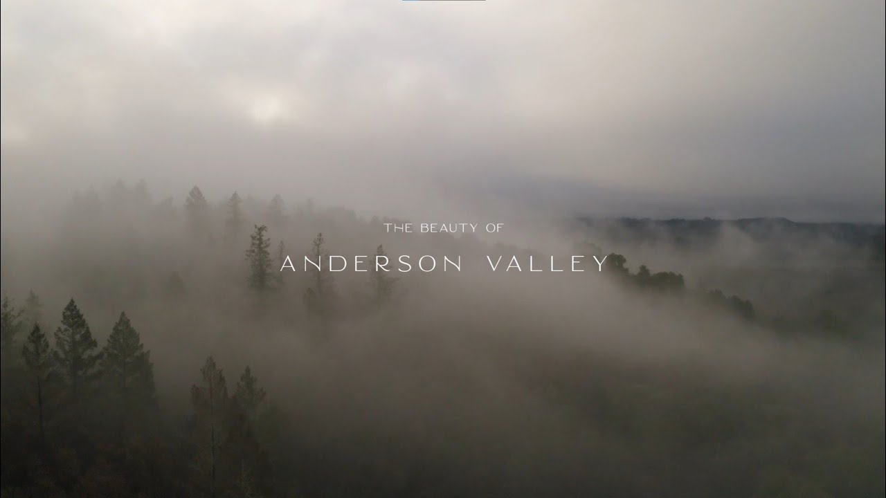 Discover The Beauty of Anderson Valley Wine Region