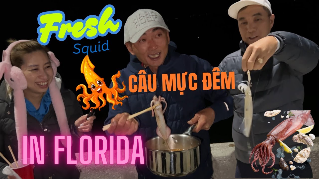 Trải Nghiệm Câu Mực Tại Cầu Skyway Florida – Cuộc Sống Mỹ & Du Lịch Florida | Hoang Anh Nguyen