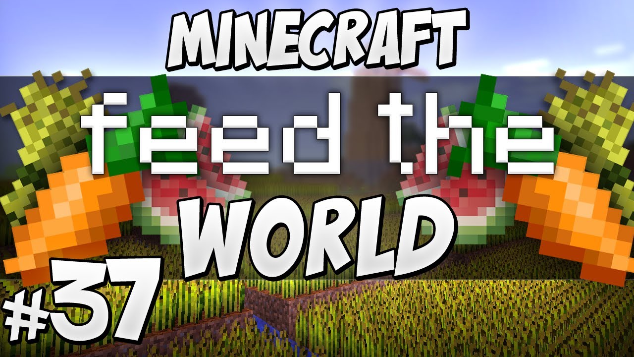Feed The World — второй лучший друг человека №37