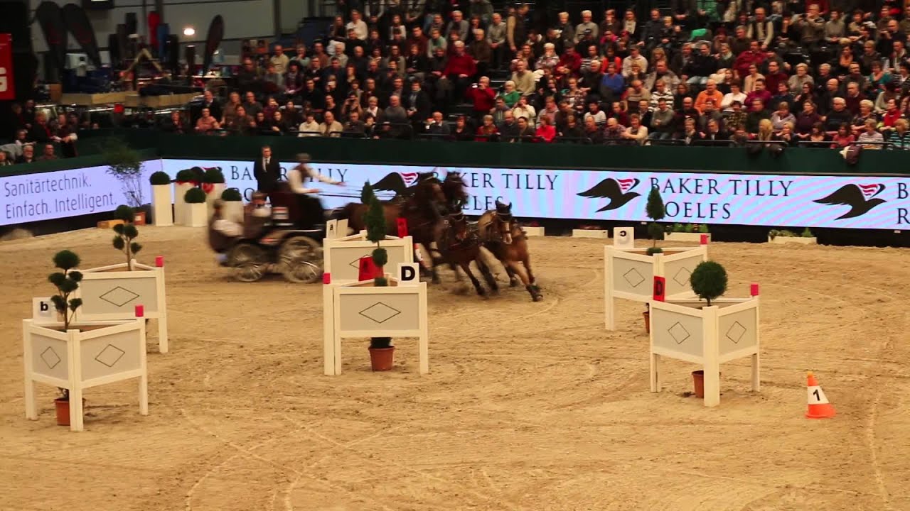 Partner Pferd 2015 Video 2